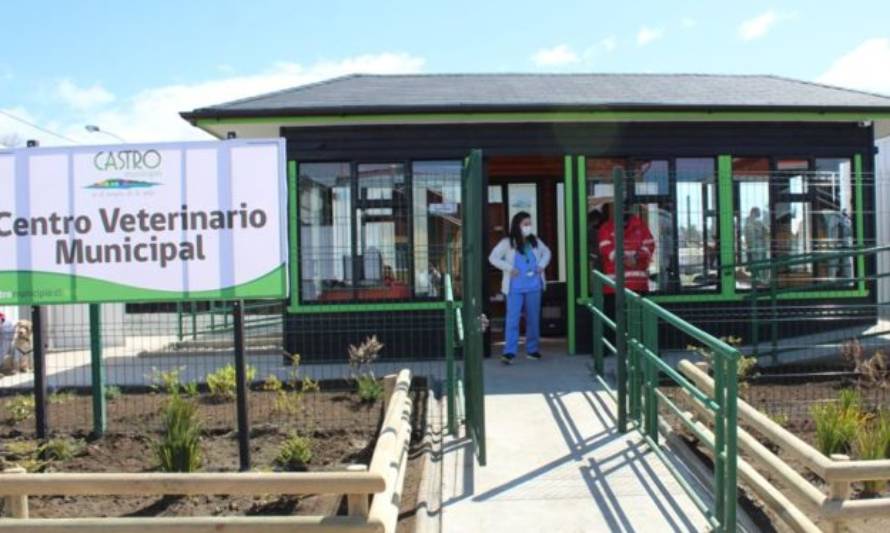 Recién inaugurado centro veterinario de Castro ha atendido más de 700 mascotas