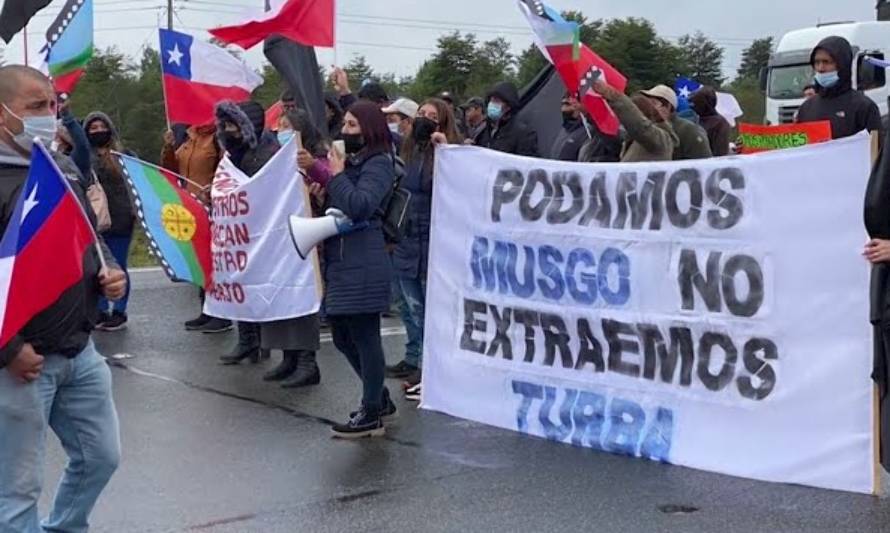 Revisa en video la protesta de los recolectores de musgo en la ruta 5 a la altura del empalme Calbuco