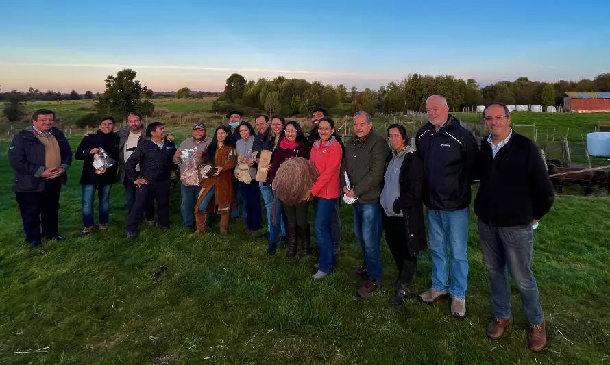 Pelluchilwe: El Sello de Origen que protege los derivados del cordero chilote