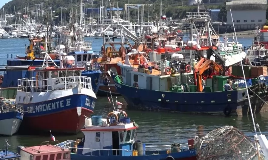 Delegación mexicana conoció forma como opera Caleta Anahuac