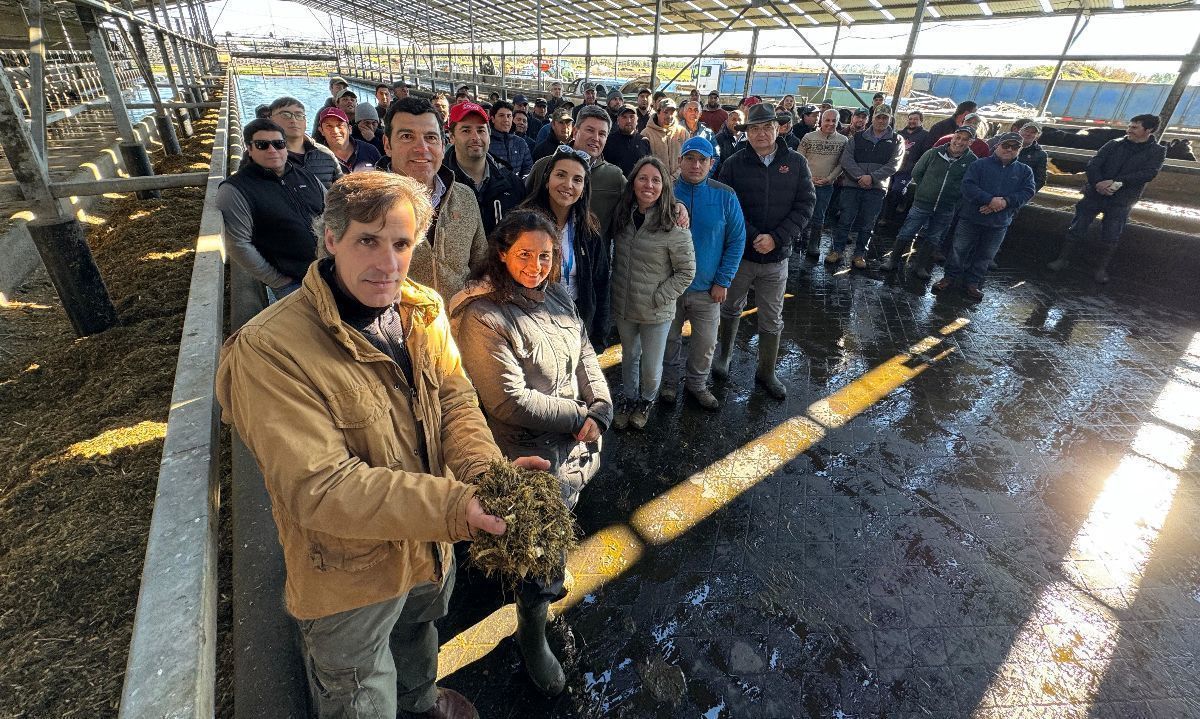 Especialista en nutrición entregó consejos para dietas que aporten un mayor retorno en la producción de leche y de sólidos