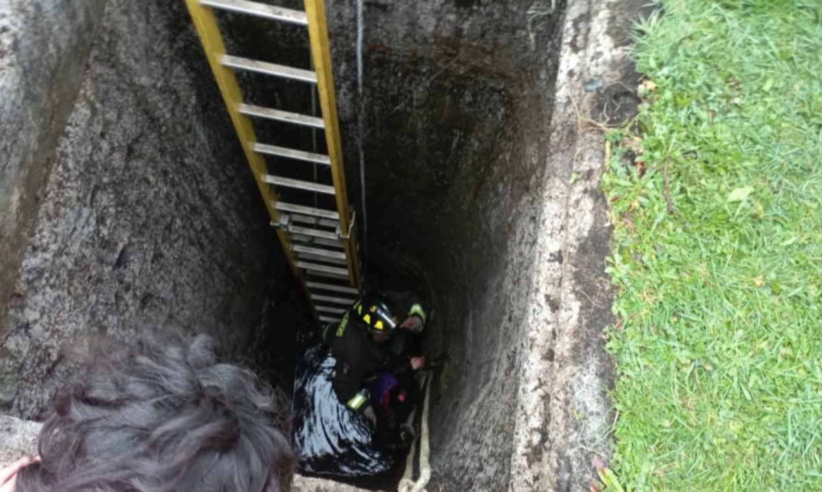 Chiloé: rescatan a escolar que cayó al interior de pozo