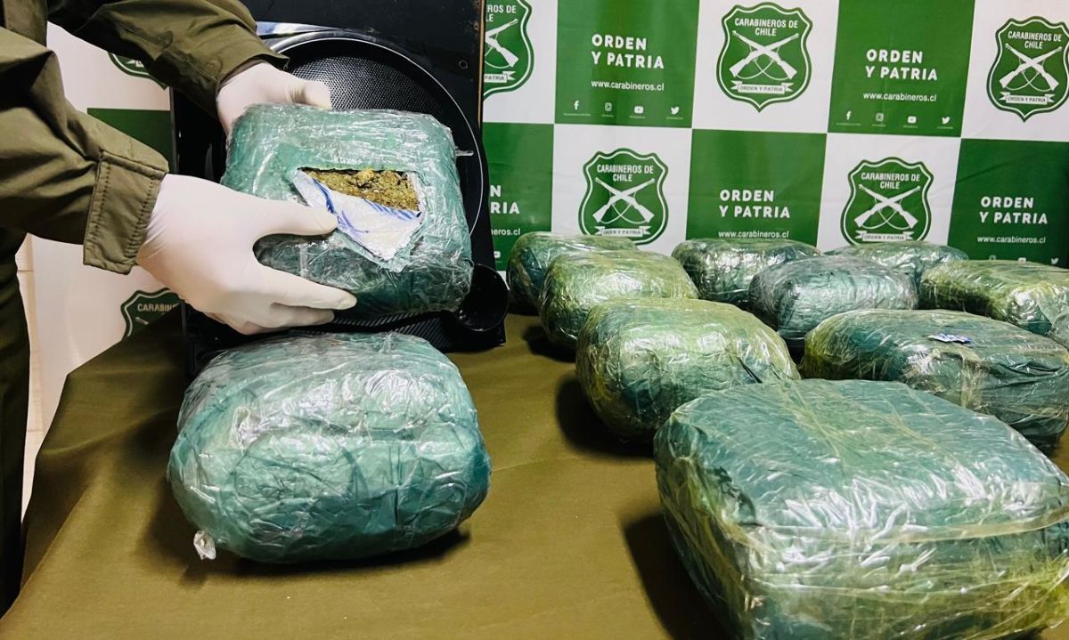 Carabineros decomisa 13 kilos de marihuana en bus con destino a Puerto Montt