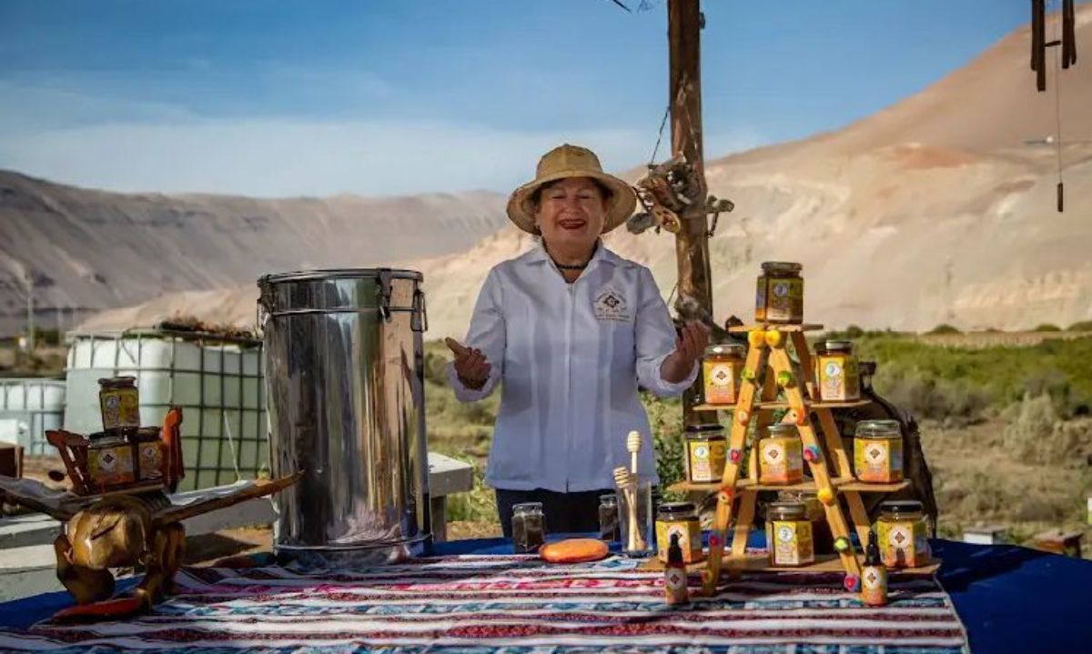 Colmenares Pío Martin: miel que se produce en el desierto más árido del mundo