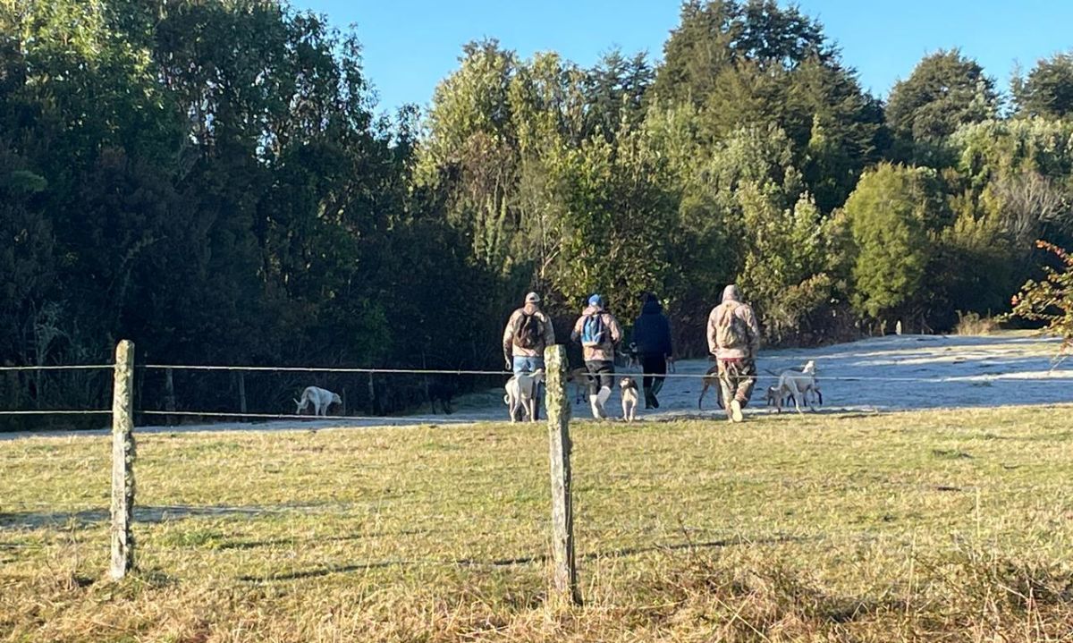 Agricultores alertan la presencia de cazadores  de liebres con perros en los campos 