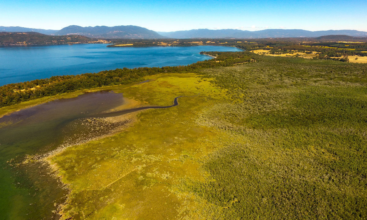 Gobierno Regional invita a participar del Seminario “Diagnóstico y gestión territorial de humedales: Desafíos y oportunidades en la región de Los Ríos