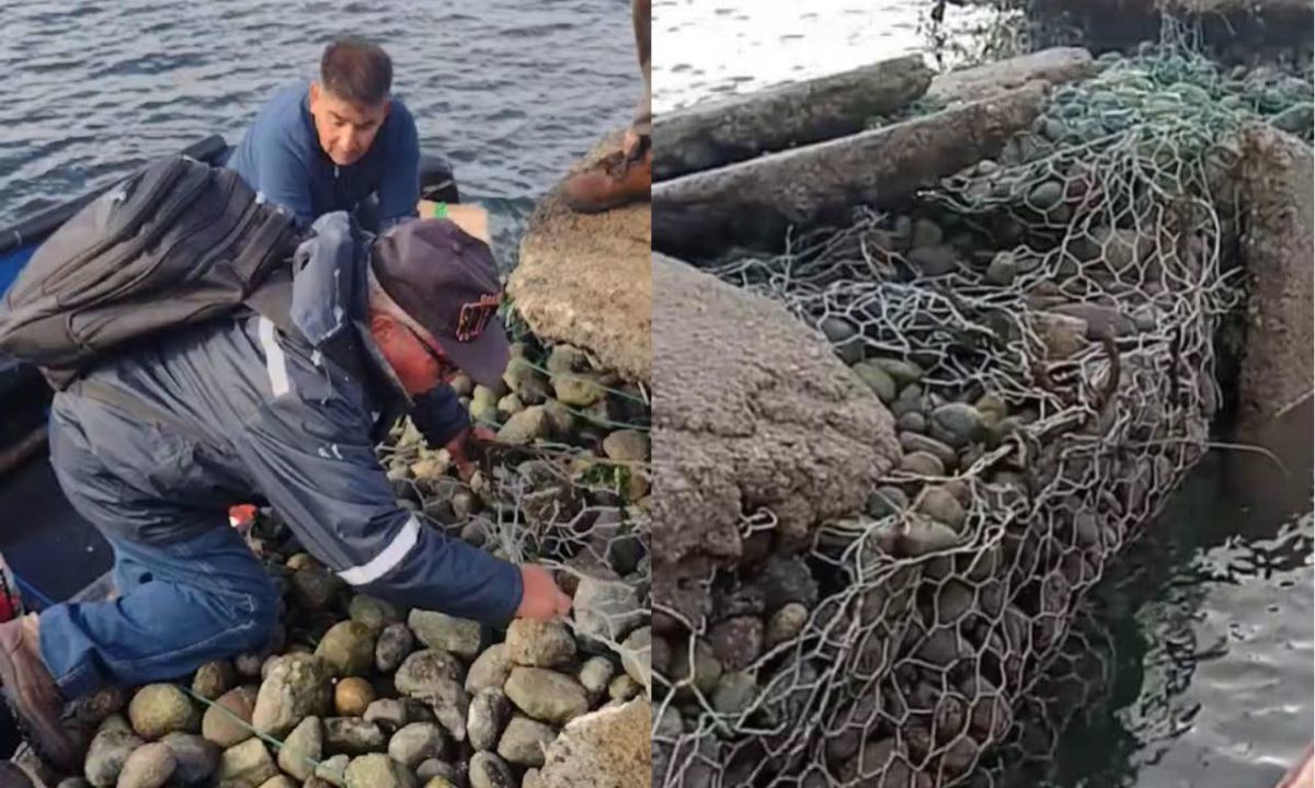 Habitantes de Mayelhue piden agilizar reparación de muelle tras meses de espera