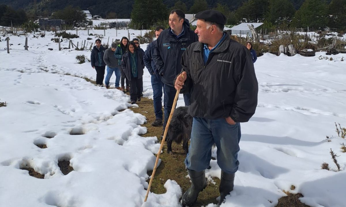 INDAP comienza a entregar ayuda económica a afectados por nevazones en Palena