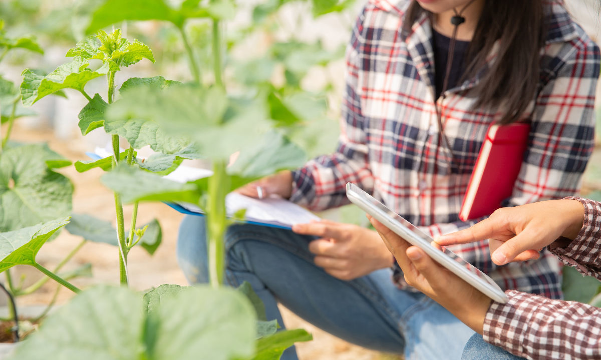 Hay 584 becas destinadas al sector agrícola y silvoagropecuario