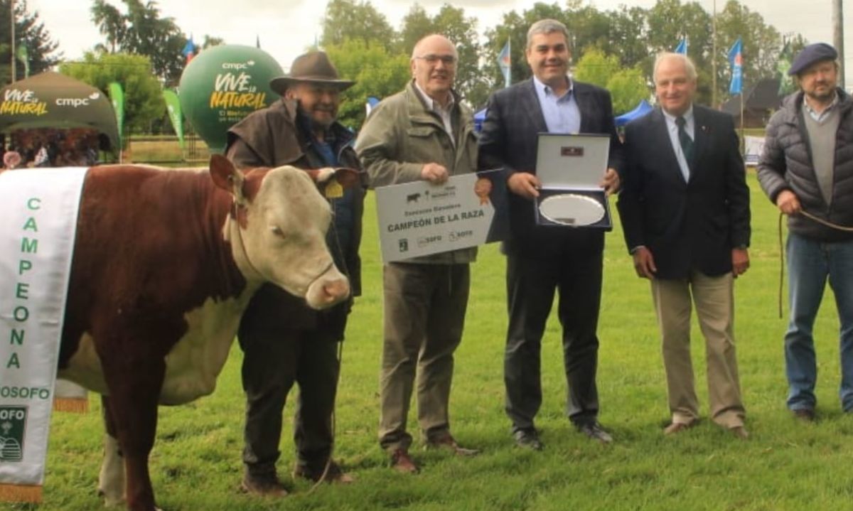 Exitosa Jura de Ganado en Expo Sofo 2024