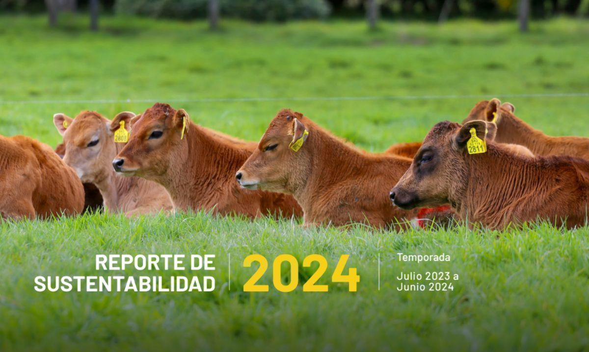 Manuka presenta su Reporte de Sustentabilidad 2024