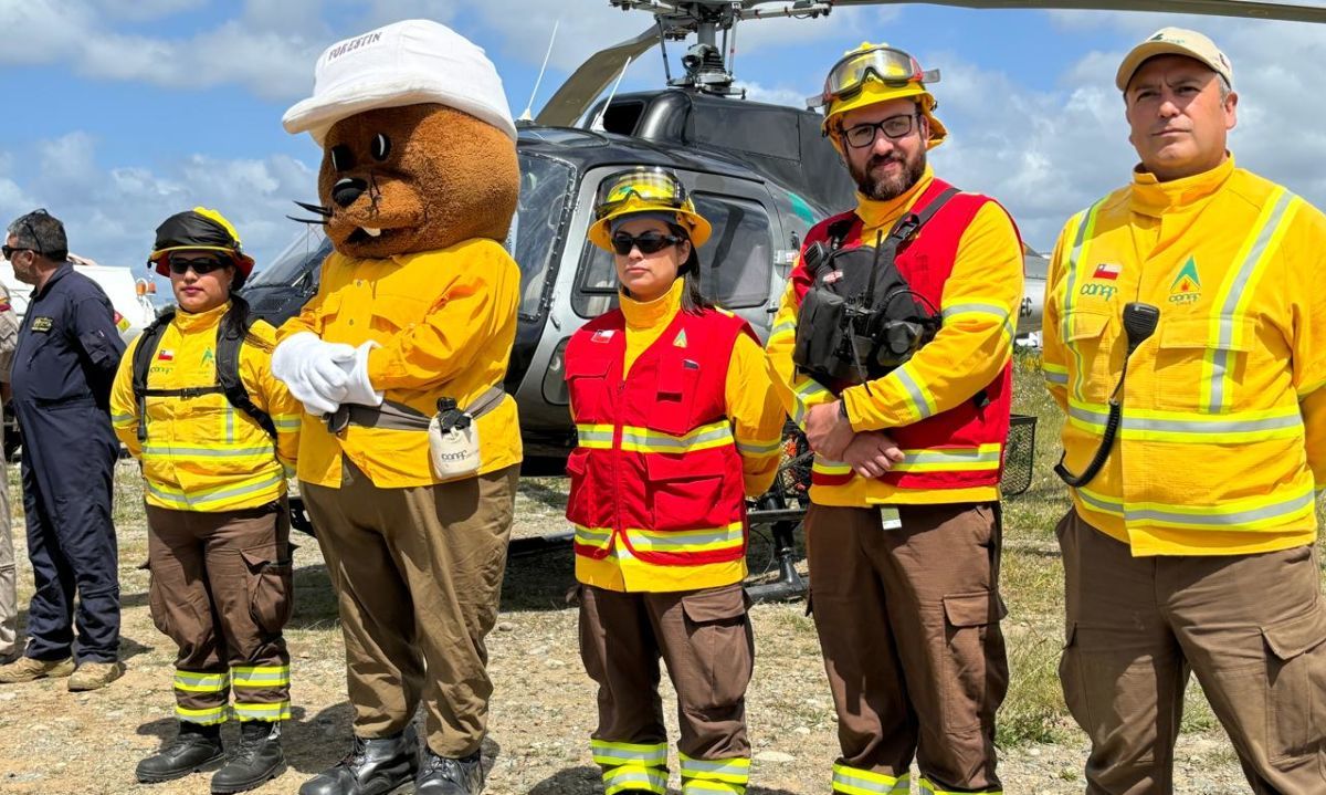 Región de Los Lagos en alerta por alto riesgo de incendios forestales este fin de semana