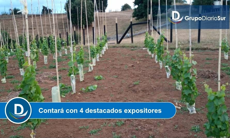 Invitan a webinar gratuito sobre desarrollo de la viticultura en la zona